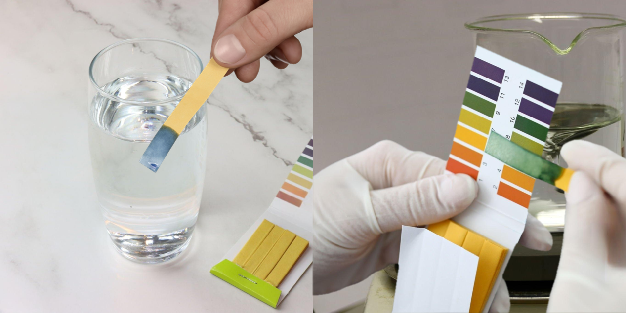 comparison of pH value